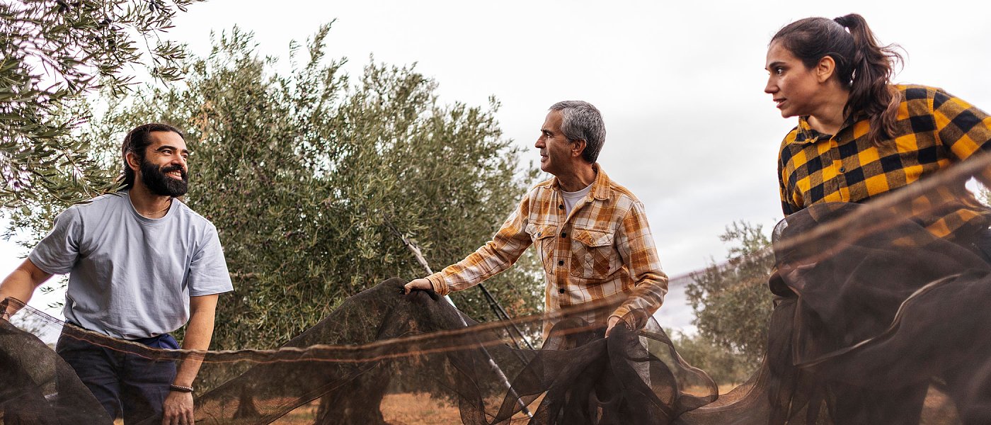 Αφιέρωμα: Μηχανήματα για την ελαιοσυλλογή