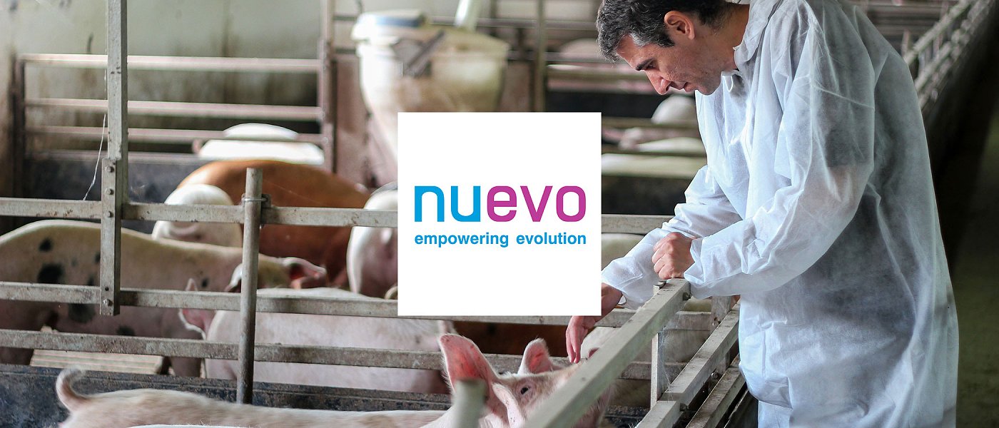 Full Value Pigs: εκεί όπου η Γενετική, η Διατροφή και η Διαχείριση αποδίδουν πραγματική εμπορική υπεραξία!