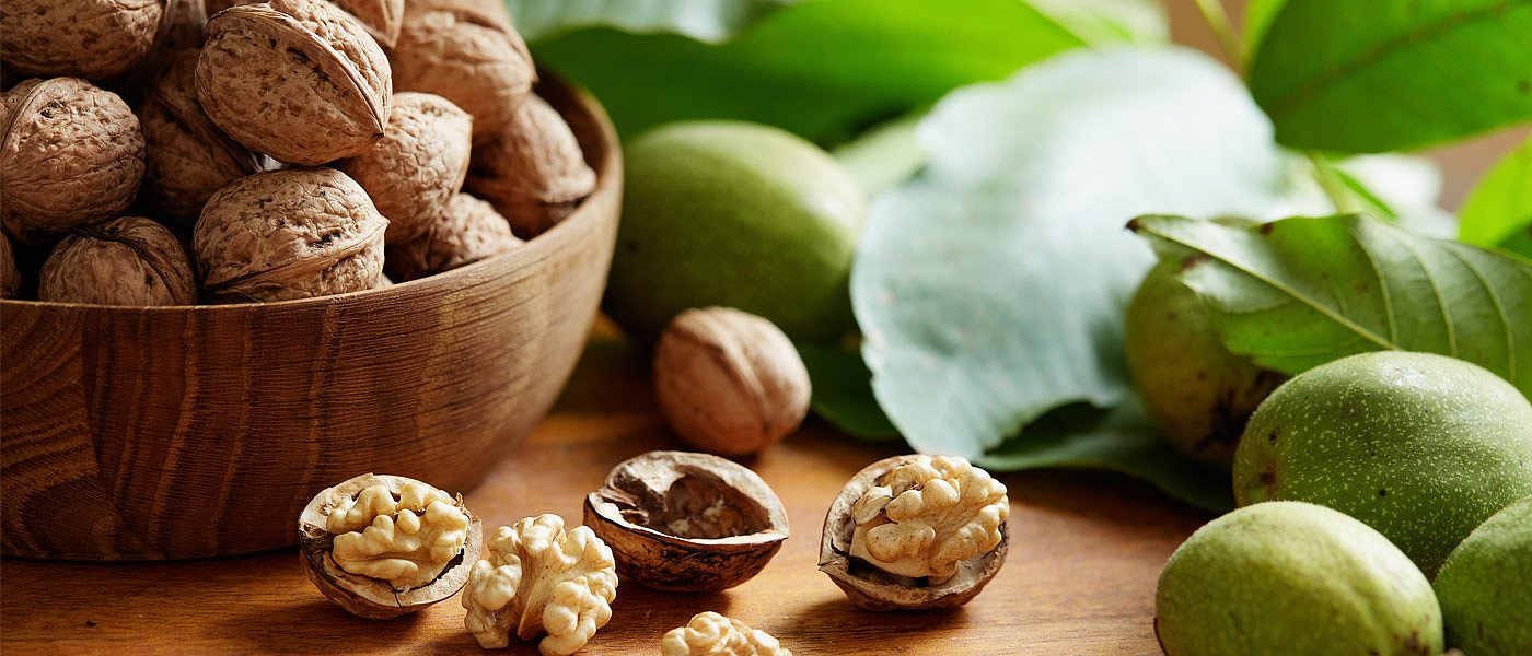 Ανθράκωση καρυδιάς: αυξημένες προσβολές στη Θεσσαλία – προειδοποιούν οι ειδικοί