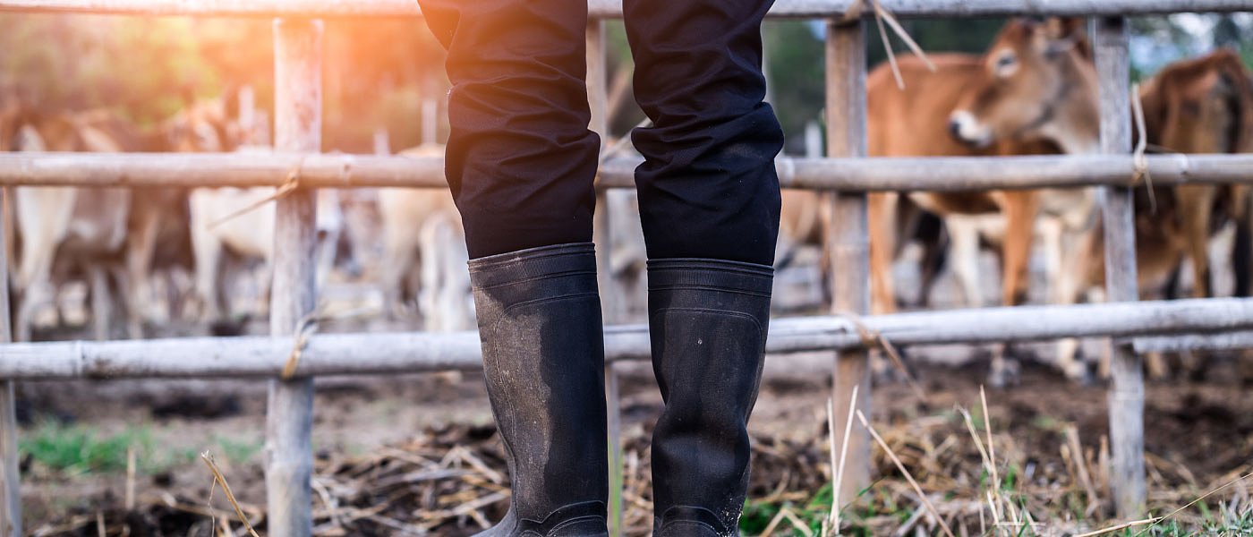 Ευλογιά αιγοπροβάτων: Οι έλεγχοι στο πεδίο και ο ρόλος των ΔΑΟΚ