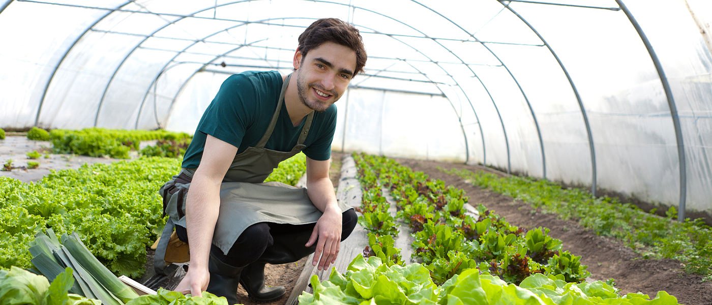 Το Μεγάλο Στοίχημα της Ευρώπης: Η Αναγέννηση των Γενεών στη Γεωργία