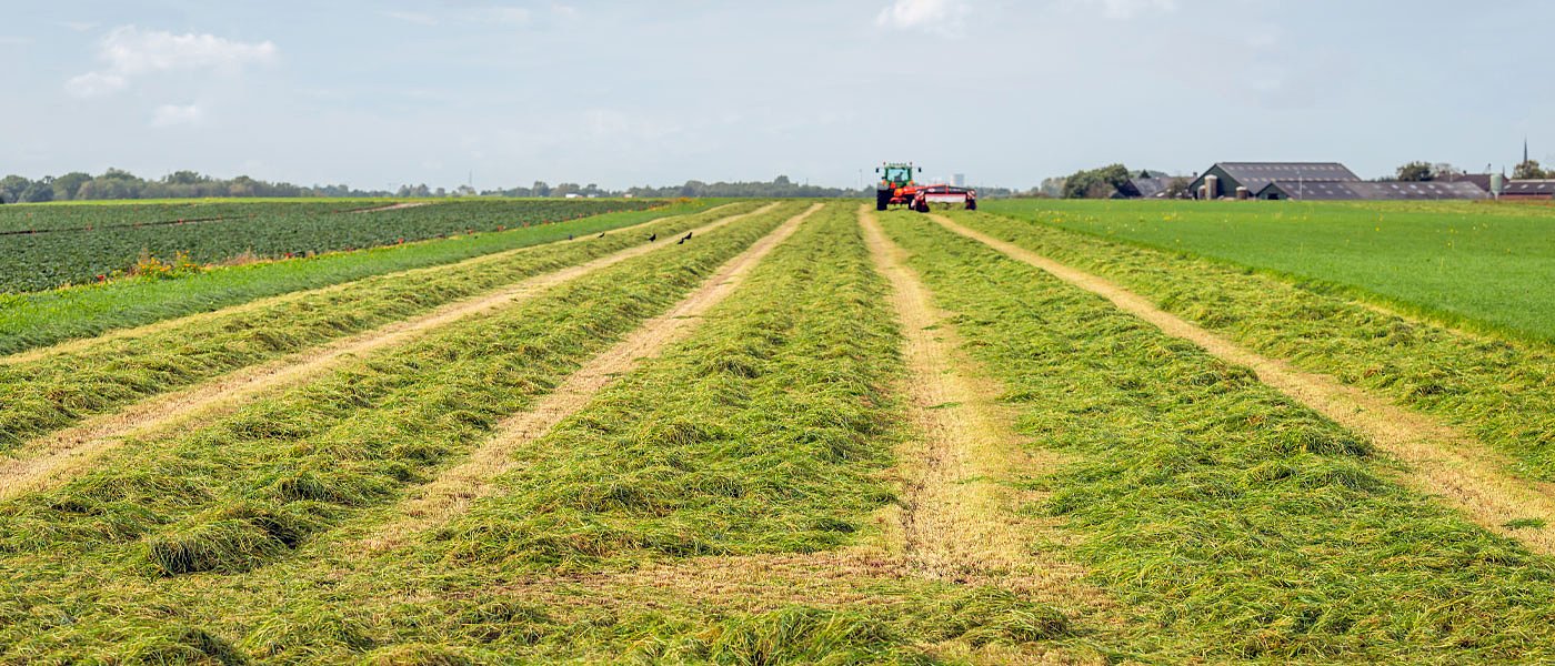 Τι σημαίνει “ελάχιστη κάλυψη εδάφους” και πώς επηρεάζονται οι παραγωγοί – Ο πλήρης οδηγός