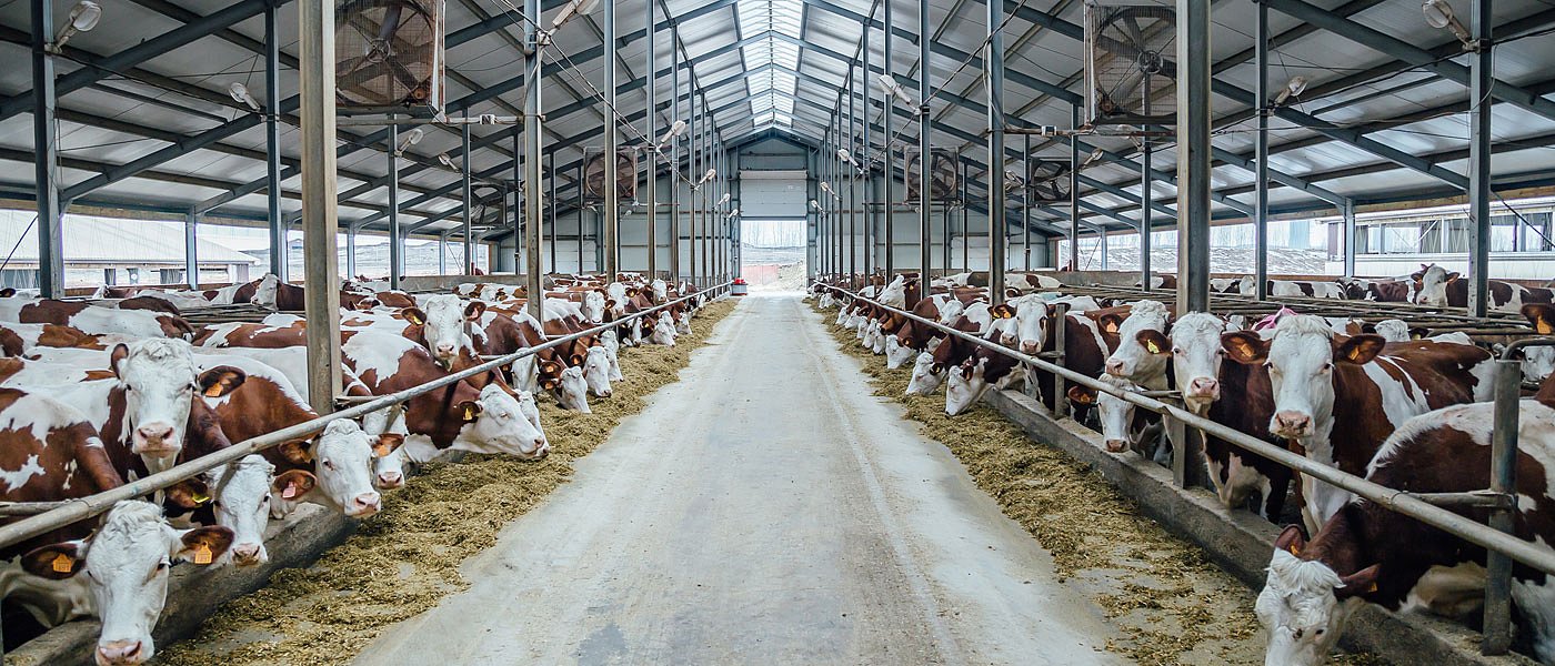 Ευζωία ή stress: Όταν οι συνθήκες στην εκτροφή κάνουν τη διαφορά