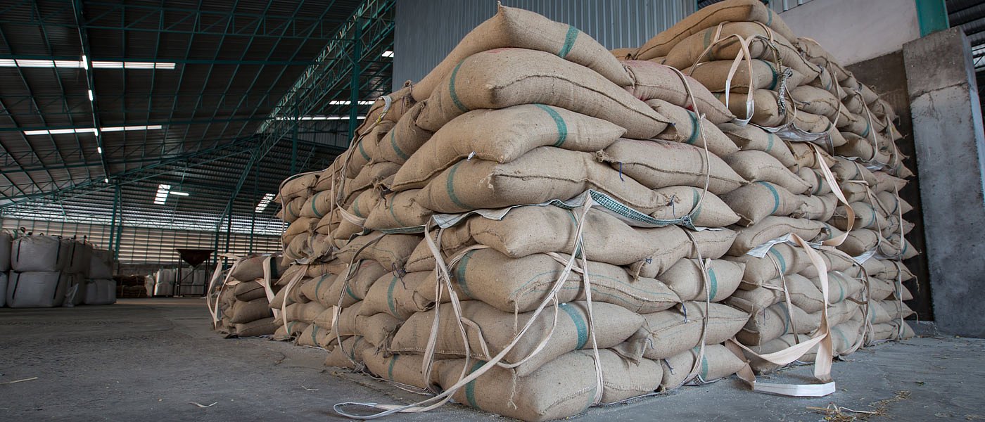 Πώς να αποθηκεύσετε σωστά το καλαμπόκι – Ο πρακτικός οδηγός του παραγωγού