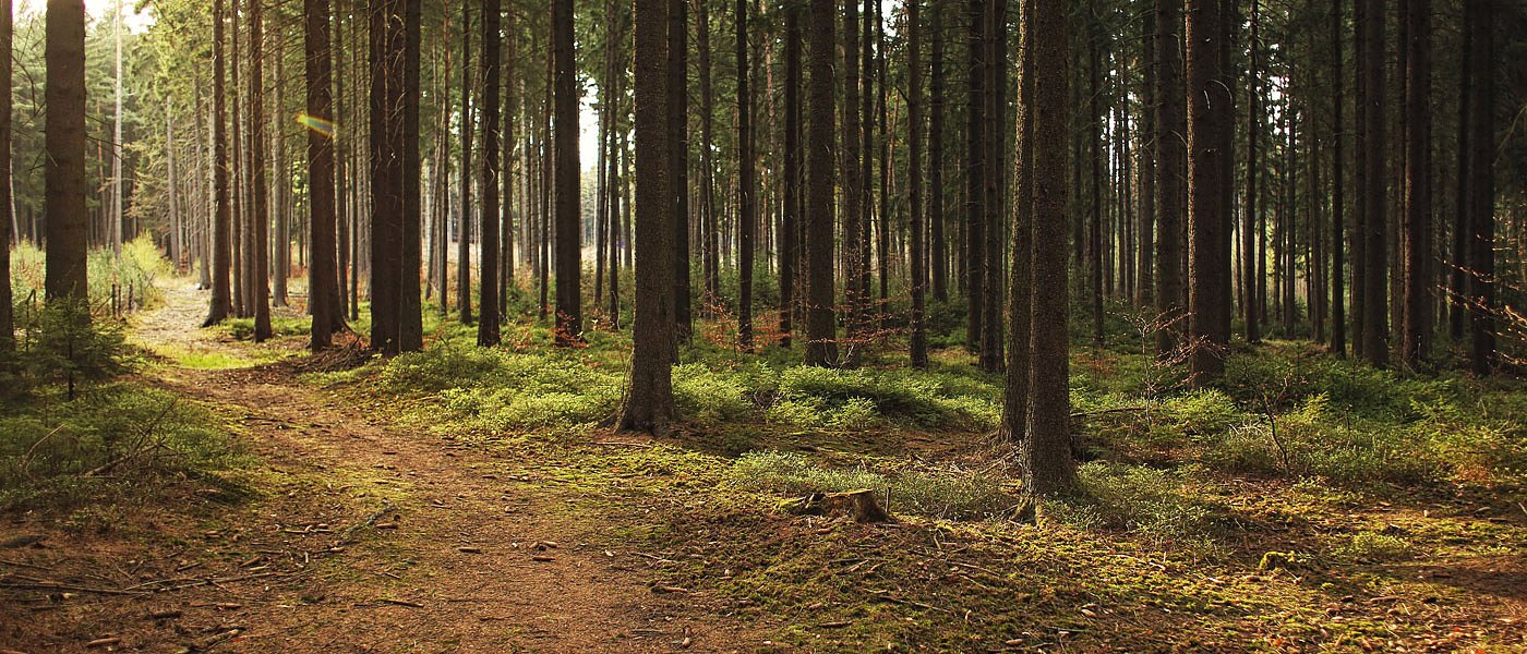 Τατόι: Ο ιδιώτης στο προσκήνιο για τον ιστορικό πυρήνα του κτήματος - αξιοποίηση 24 κτηρίων