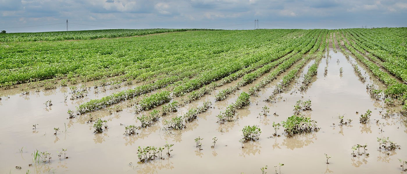 Έβρος: Το αποτύπωμα των πλημμυρών – ζημιές, καθυστερήσεις, αλλαγές στις καλλιέργειες και έξαρση ασθενειών