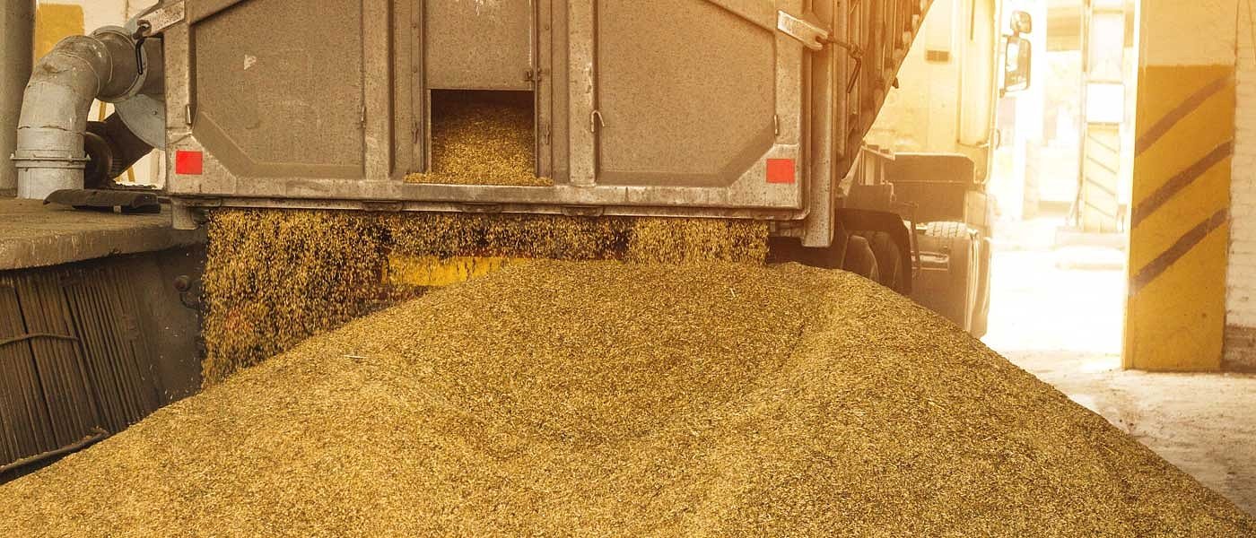 Απούλητοι 8.000 τόνοι σκληρού στην Ορεστιάδα, οι Καναδικές εξαγωγές κρατάνε σε χαμηλά επίπεδα τις τιμές