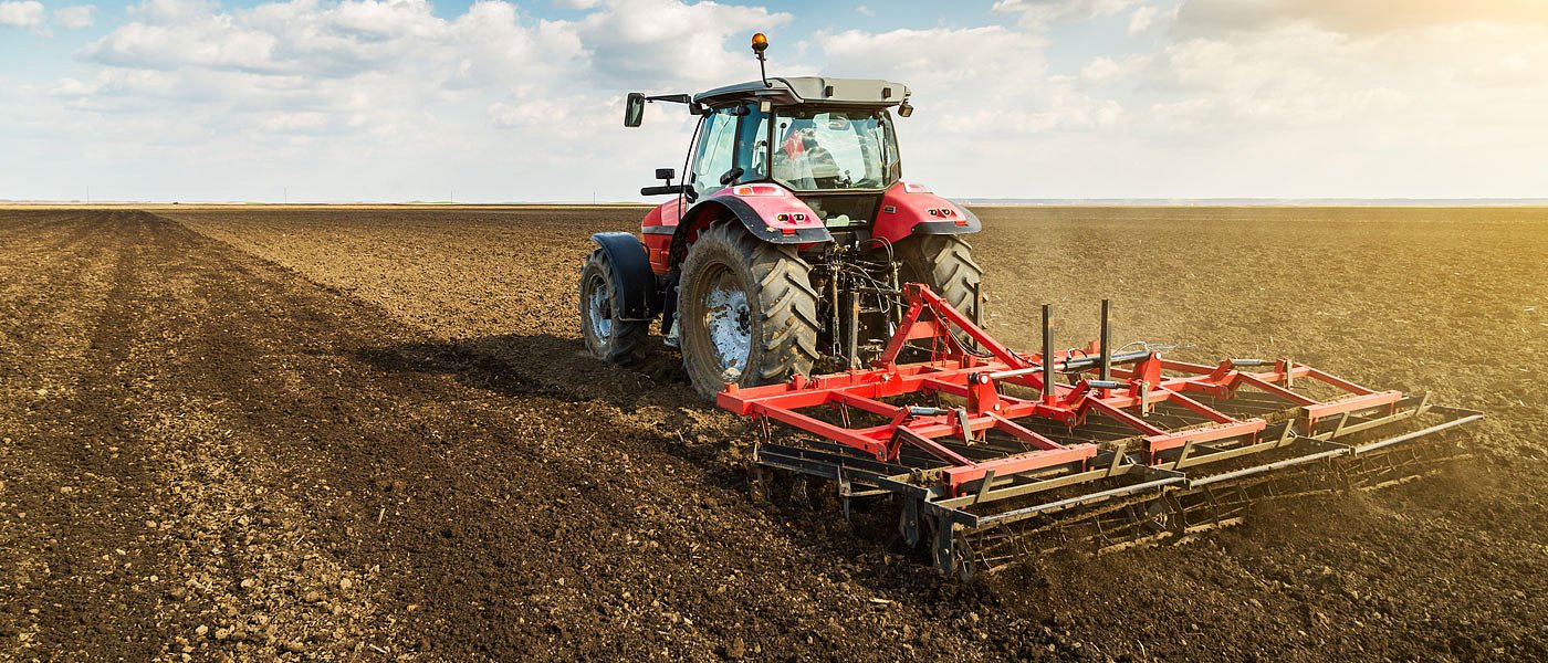 Καλαμπόκι: Τι περιλαμβάνει η προετοιμασία αγρών πριν τη σπορά