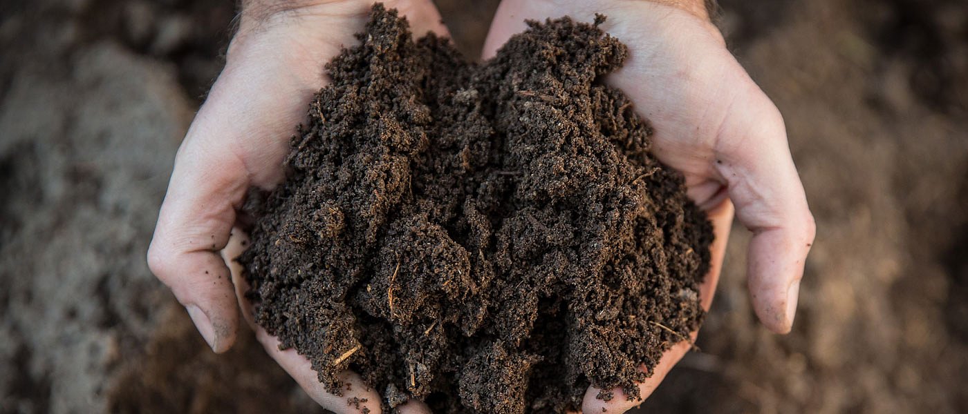 Θρέψη: στο επίκεντρο το σύστημα έδαφος–φυτό