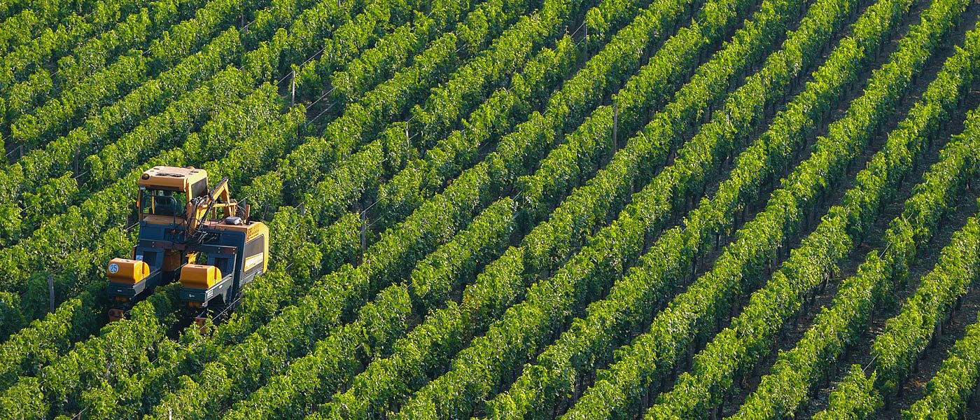 Τι είναι τελικά η Κοινή Αγροτική Πολιτική και γιατί αφορά κάθε καλλιεργητή