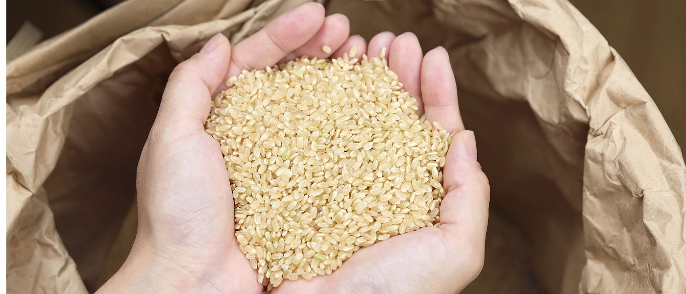 Υψηλή Παραγωγή και Πιέσεις στις Τιμές του Ρυζιού στη Διεθνή Αγορά