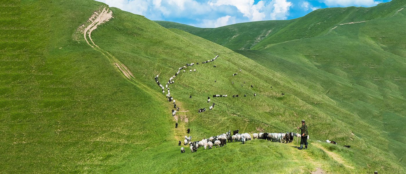 Πρόσκληση για Εξισωτική Αποζημίωση 2025, μέχρι πότε οι αιτήσεις και τα ποσά ενίσχυσης