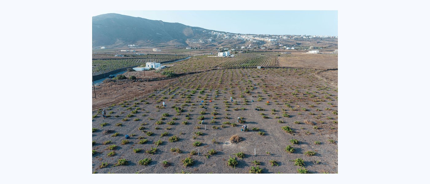 Η ΚΥΡ-ΓΙΑΝΝΗ εξαγοράζει το Κτήμα Σιγάλα