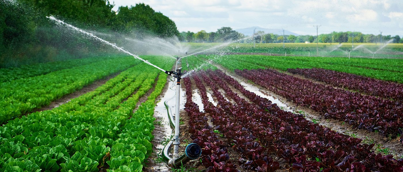 Πριν αρχίσουν τα ποτίσματα: Τι πρέπει να κάνεις ώστε το αρδευτικό δίκτυο να λειτουργεί σωστά