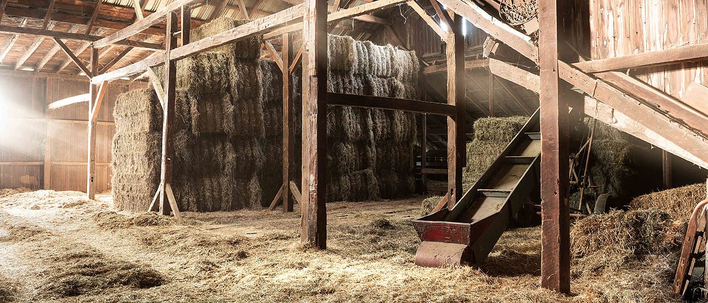 Άμεσα να πληρωθούν ενισχύσεις σε κτηνοτρόφους που έχασαν τα κοπάδια τους λόγω ευλογιάς και πανώλης, τι ισχύει για θεομηνίες