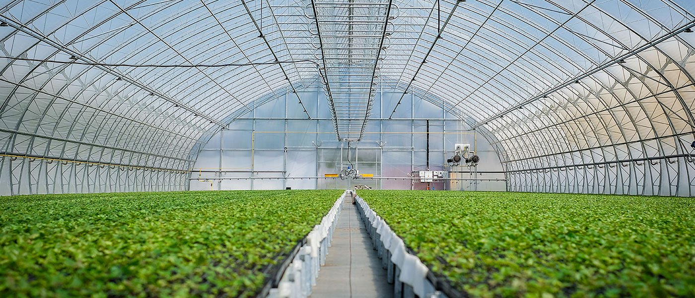 Αίτημα παράτασης αιτήσεων για Παρέμβαση Π3-73-2.9 επενδύσεις σε θερμοκήπια και στέγαστρα φυτικής παραγωγής