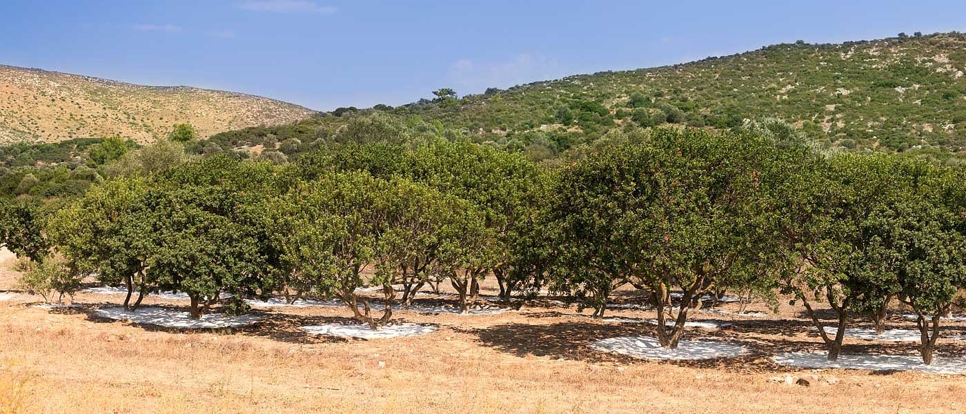 Μεγάλες αντιδράσεις με την ΚΥΑ που αφορά αποζημιώσεις για «φερτά» υλικά από τις θεομηνίες