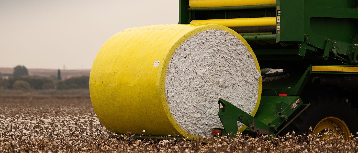 Βαμβάκι: Λευκός χρυσός με ζόρια - Τι είπε ο πρόεδρος Διεπαγγελματικής Βάμβακος στην Αγροτική Διακομματική Επιτροπή της Βουλής