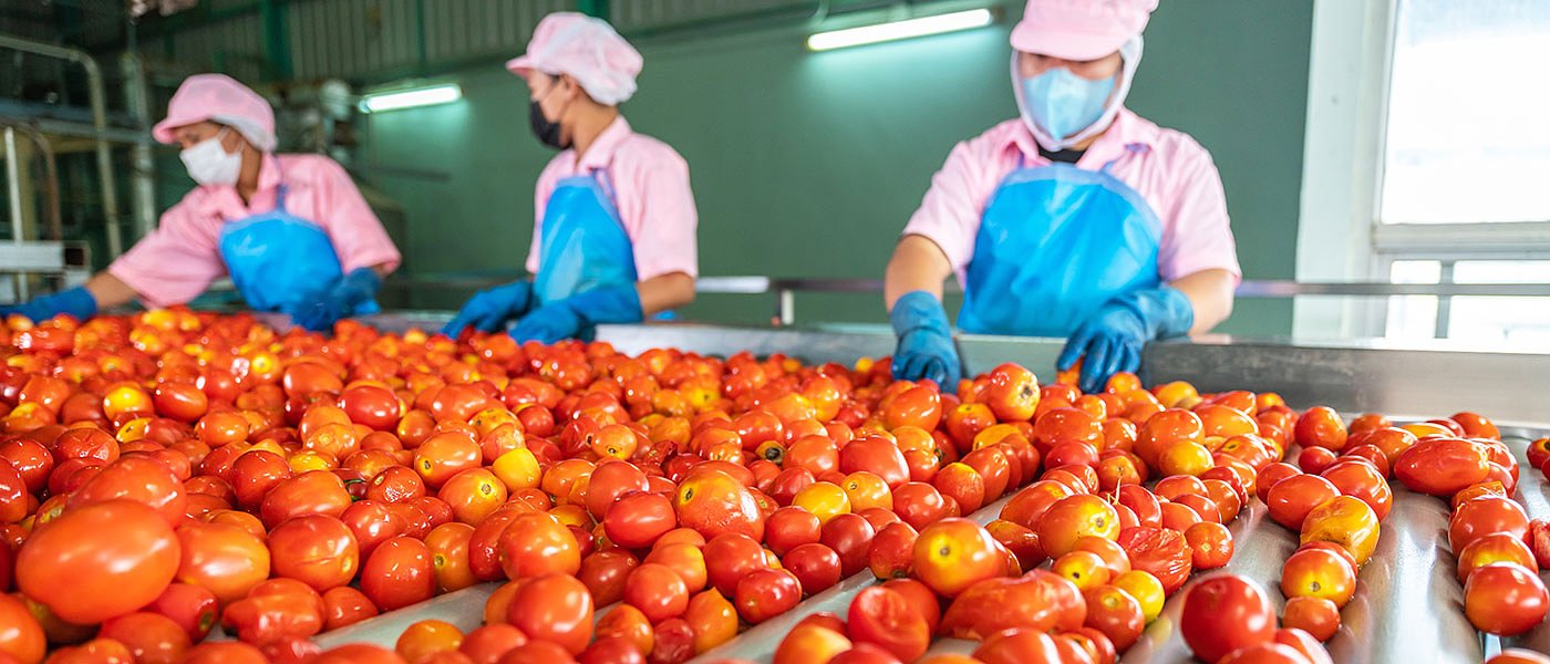 Η Damavand υπερδιπλασιάζει την παραγωγική της δυνατότητα με επενδύσεις άνω των 6 εκατ. ευρώ
