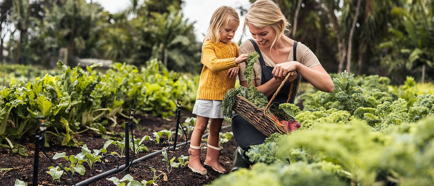Ξεκίνησαν αιτήσεις ΟΠΕΚΑ για τρίτεκνες και πολύτεκνες μητέρες αγρότισσες, προϋποθέσεις και δικαιολογητικά