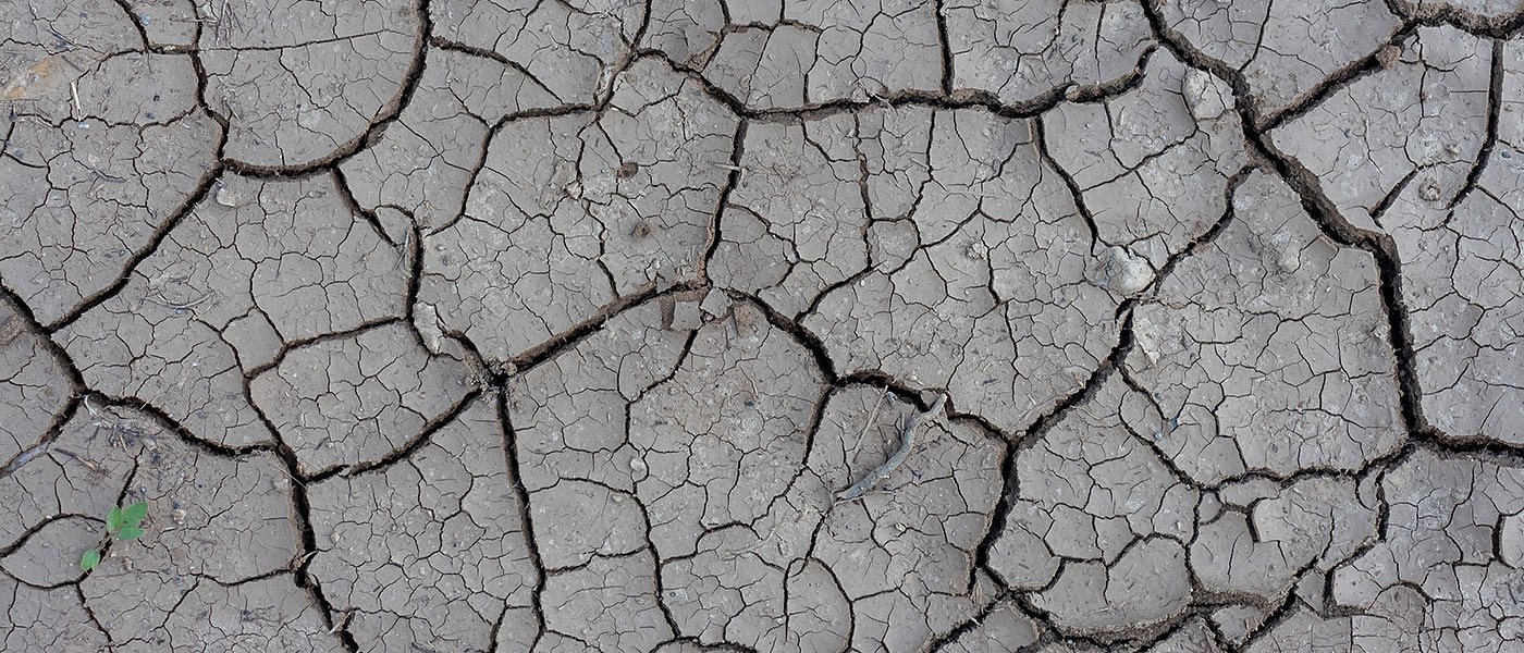 Δώστε αποζημίωση για ζημιές σε καλλιέργειες λόγω έλλειψης νερού άρδευσης, λένε οι συνεταιρισμοί της Λάρισας