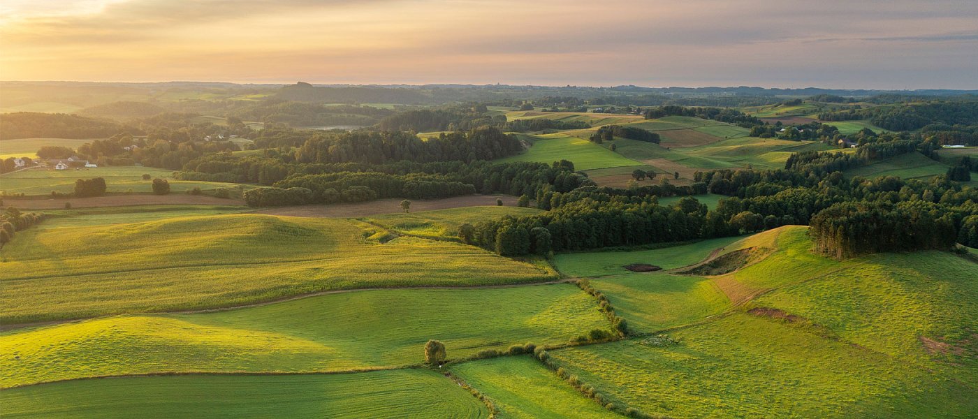Δηλώσεις ΟΣΔΕ μέχρι 29 Αυγούστου και δεν υπάρχει παράταση λέει ο ΟΠΕΚΕΠΕ, έγιναν πάνω από 600.000 αιτήσεις