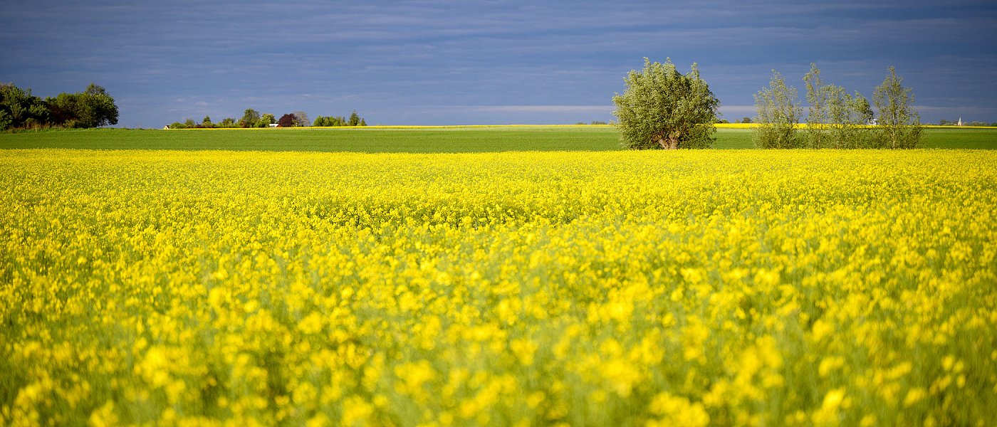 Δίνουν παράταση για φωτογραφίες γιατί δεν λειτουργεί η εφαρμογή, πότε θα γίνουν πληρωμές, ποιοι χάνουν ΕΦΚ πετρελαίου