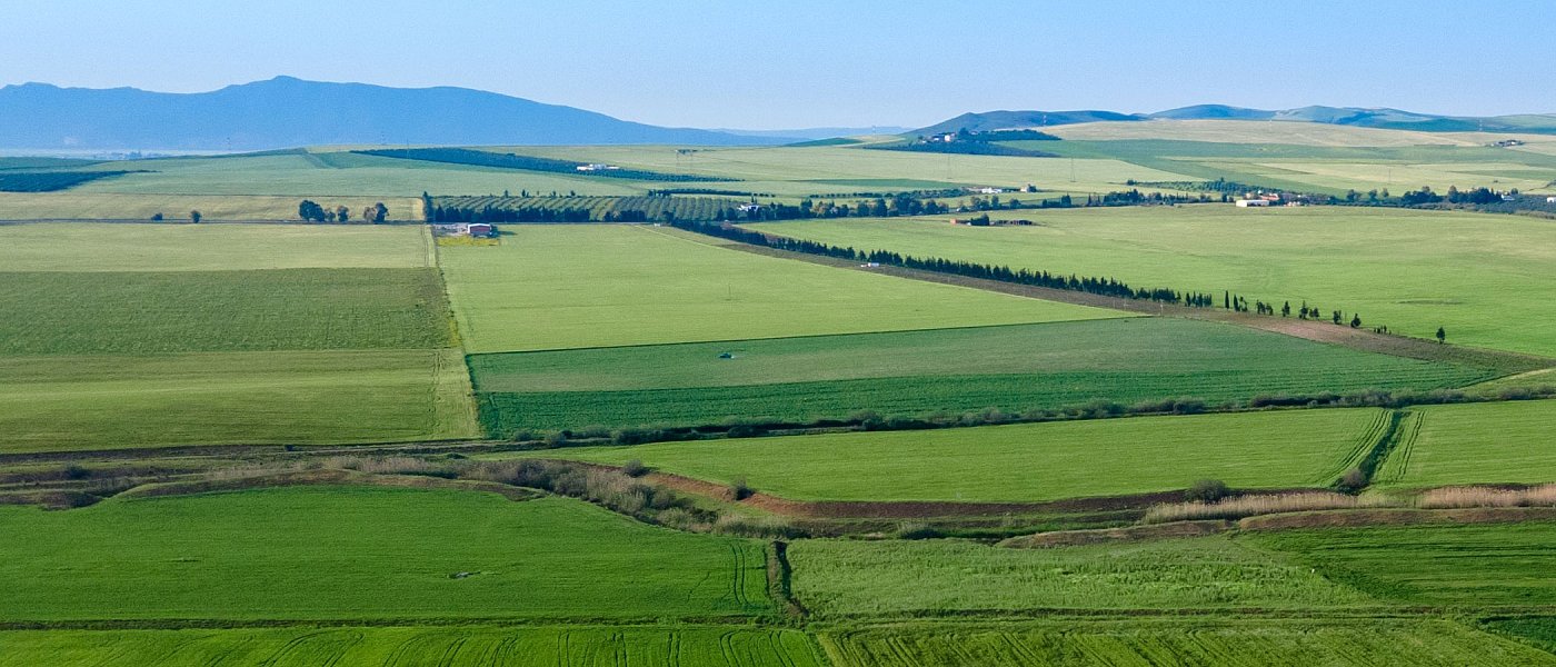 Κατάθεση Κορασίδη: Χάθηκαν μετρημένα 634 εκ. ευρώ – Εγκληματική οργάνωση εντός του ΟΠΕΚΕΠΕ με πολιτική κάλυψη