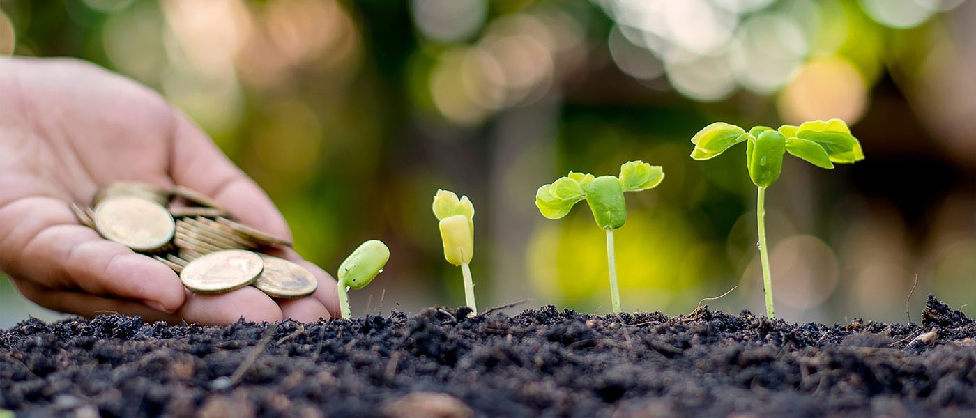 Για την άλλη εβδομάδα τα παλαιά βιολογικά, αλλάζουν οι τιμές αναφοράς στο Μέτρο 23, χάθηκε το μοντέλο 2021 για προκαταβολές παγετού