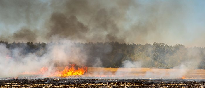 Πυρκαγιές 2025: Τι προβλέπει το πλαίσιο κρατικής αρωγής για τις αγροτικές εκμεταλλεύσεις