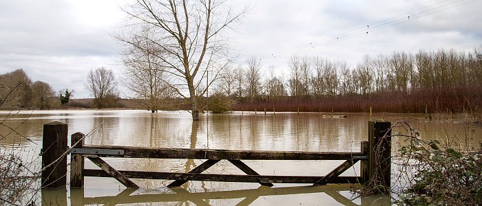 Έγινε πληρωμή από ΕΛΓΑ της προκαταβολής για ζημιές στο Φυτικό Κεφάλαιο