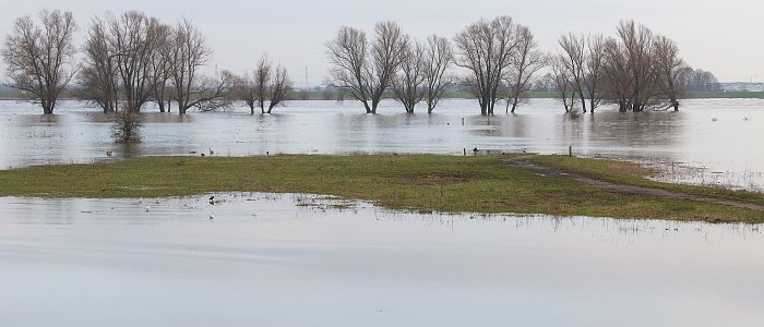 Κακοκαιρία στην Κρήτη: Η διαδικασία που θα ακολουθήσει ο ΕΛΓΑ για καταγραφή ζημιών - Τα πρώτα μέτρα για τους πληγέντες