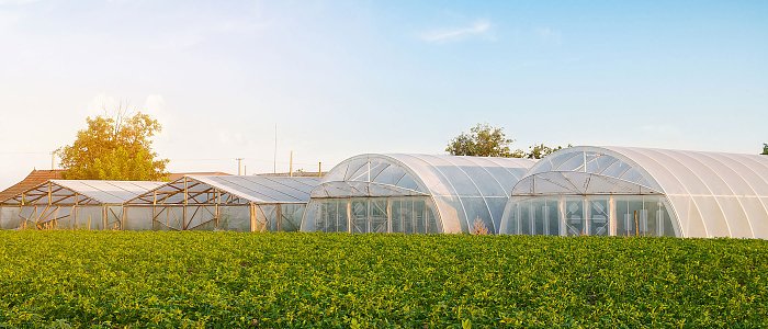 Υπερδιπλάσιο ενδιαφέρον για τα θερμοκήπια: Οι αιτήσεις “εκτόξευσαν” την Παρέμβαση Π3-73-2.9
