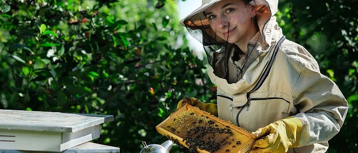 Ανακοινώθηκε 3μελής επιτροπή ενστάσεων για παρέμβαση προστασίας μελισσοσμηνών και ενίσχυσης βιοποικιλότητας