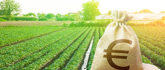 Αλλάζουν οι όροι δανειοδότησης αγροτών με τρία νέα χρηματοδοτικά εργαλεία, αφορούν δάνεια από 10.000 έως 3,5 εκ. ευρώ