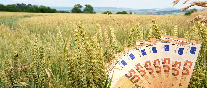Πολλοί παραγωγοί κινδυνεύουν να μείνουν εκτός πληρωμής Μέτρου 23 χωρίς να έχουν ευθύνη