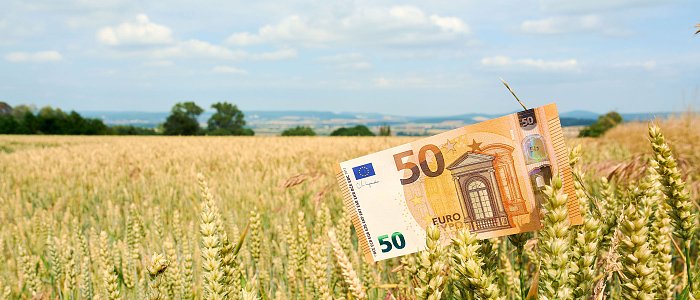 Από Οικολογικά δεν μπορούν να καταβληθούν οι ενισχύσεις 80 εκ. ευρώ σε βαμβάκι και σιτάρι λένε τα ΚΥΔ