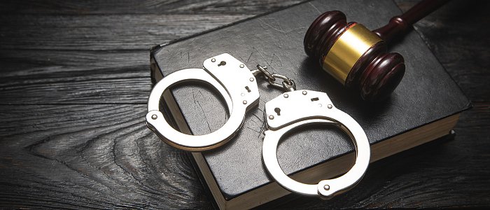 Επιχείρηση της αστυνομίας στην Κρήτη, με 15 συλλήψεις για εγκληματική οργάνωση με ψευδείς δηλώσεις ΟΣΔΕ