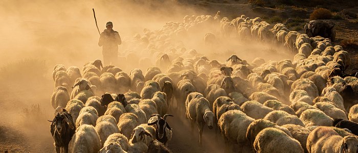 Τι δήλωσε για τα εμβόλια της ευλογιάς ο Πρύτανης του Πανεπιστημίου Θεσσαλίας, Χαράλαμπος Μπιλλίνης