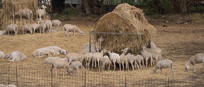 O Αντώνης Πολίτης είναι ο Υπεύθυνος Επικοινωνίας και διοικητικός υπάλληλος του Αγροτικού Συνεταιρισμού Ζαγοράς Πηλίου (Zagorin)