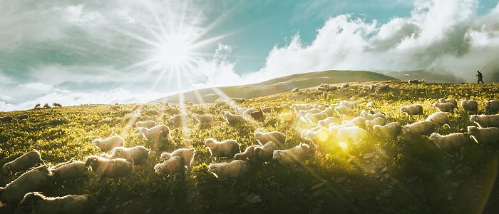 Τέρμα η «τεχνική λύση» – Νέο πλαίσιο κατανομής βοσκοτόπων σύμφωνο με την ΚΑΠ