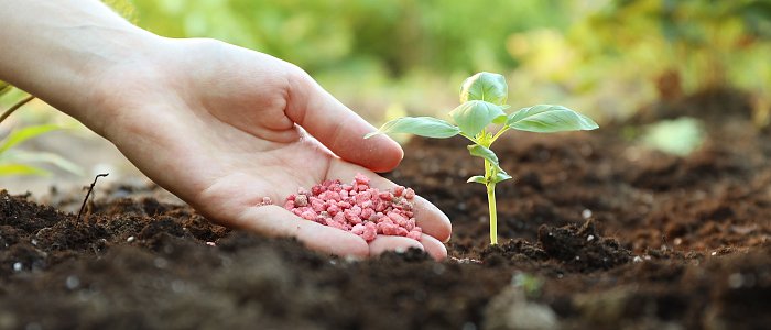 Ανακοίνωσαν επιδότηση 15% στα λιπάσματα αλλά ακόμη δεν έχει ανοίξει η πλατφόρμα της ΑΑΔΕ