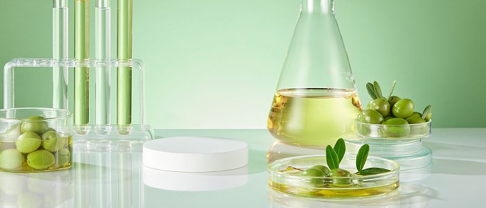 5,35 ευρώ 10 βυτία έξτρα παρθένο στην Λακωνία, απλήρωτοι και χωρίς εργάτες οι παραγωγοί, προβλήματα ξηρασίας στην Ισπανία