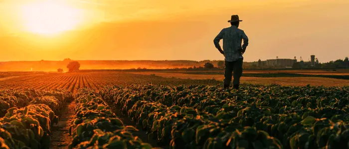 Νέοι έλεγχοι στο φετινό ΟΣΔΕ, μεταβατικό στάδιο το 2025 για κτηνοτρόφους, από το 2026 κατάθεση αιτήσεων την άνοιξη