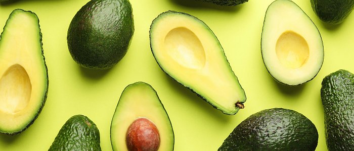 Αβοκάντο: Ξεκίνησε η συγκομιδή της ποικιλίας Fuerte, φέτος μειωμένες τιμές και χαμηλές αποδόσεις