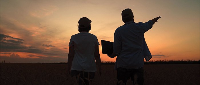 Απλήρωτοι έμειναν πολλοί παραγωγοί αλλά κανείς δεν έχει ευθύνη, υπάρχουν παράπονα με ΑΑΔΕ, τι λένε ότι θα πληρωθεί την Παρασκευή