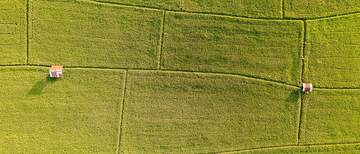 Αγροτεμάχια έως 20 στρέμματα χωρίς ΑΤΑΚ ή ΚΑΕΚ: Πώς ανοίγει ο δρόμος για πληρωμές εκκρεμοτήτων ΕΑΕ 2025