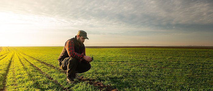 ΕΦΚΑ για ασφαλιστική ικανότητα έως 2027: καταβολή καθυστερούμενων εισφορών δεν συνεπάγεται αυτόματη ανανέωση