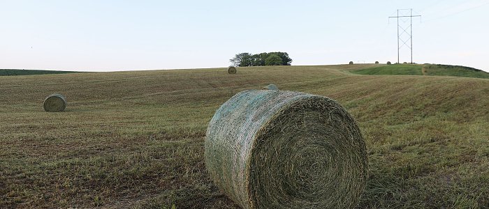 Θα πλήρωναν με 60 ευρώ de minimis το τριφύλλι, τελικά υποσχέθηκαν αύξηση, κάποιοι δεν θα πληρωθούν στο βαμβάκι
