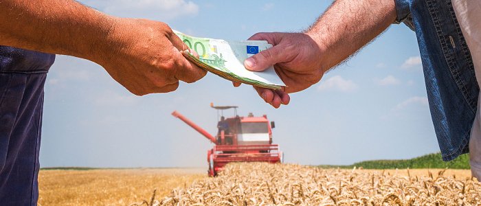 Πότε πληρώνει ο ΕΛΓΑ την εξόφληση παγετού 2025, θα αποζημιωθούν όσοι έχουν πληρώσει ασφαλιστικές εισφορές